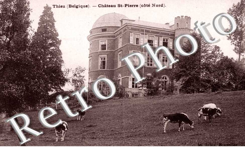 Chateau Saint Pierre
