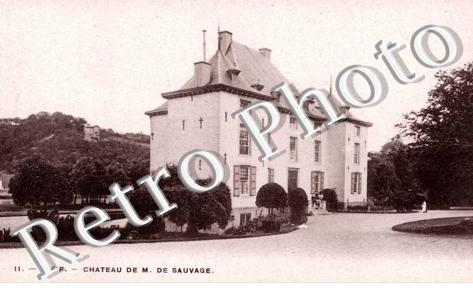 chateau de M. de Sauvage