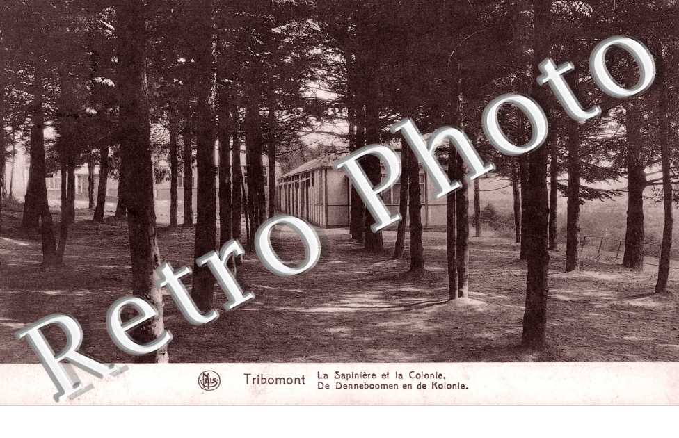 La Sapinie et la Colonie