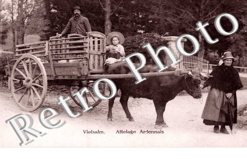Attelage Ardennais