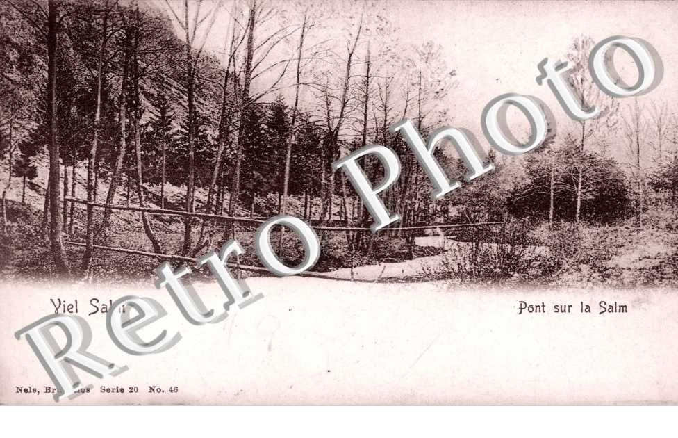 Pont dur la Salm
