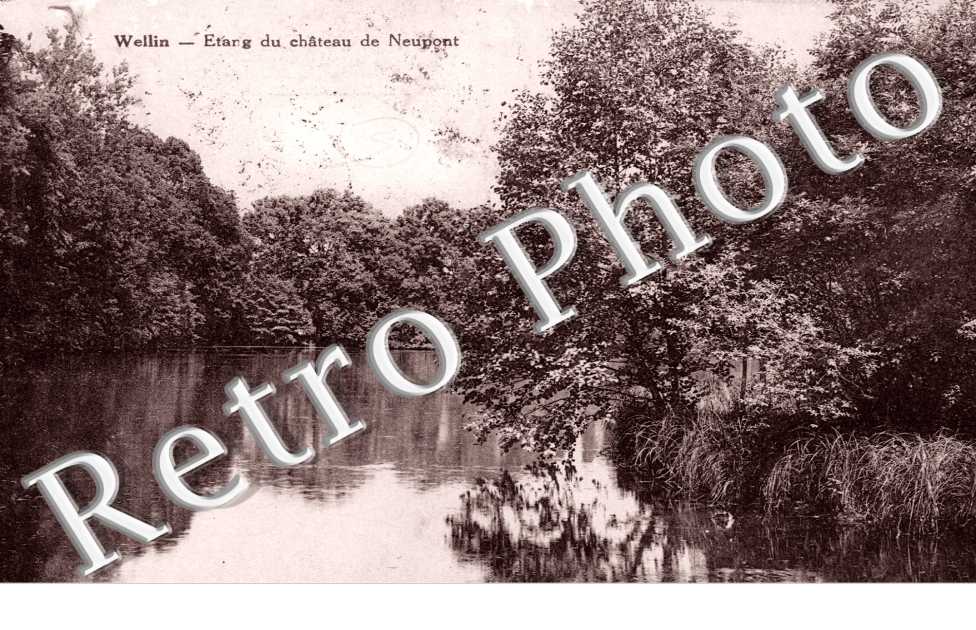 Etang du Chateau de Neupont