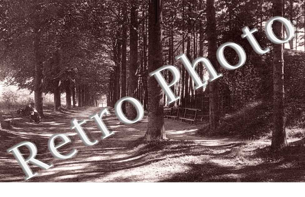 Westerloo  la grotte