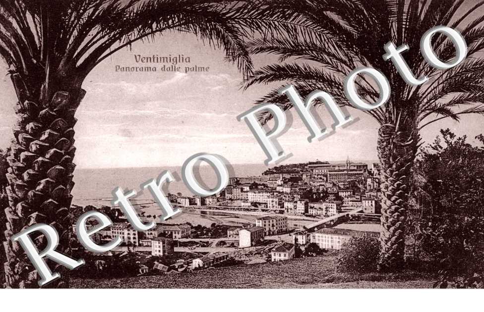 Panorama dalle palme