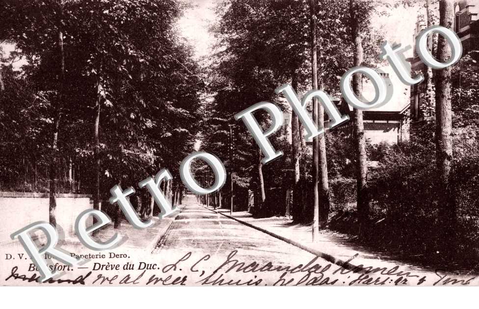 Boitsfort - Drève du Duc