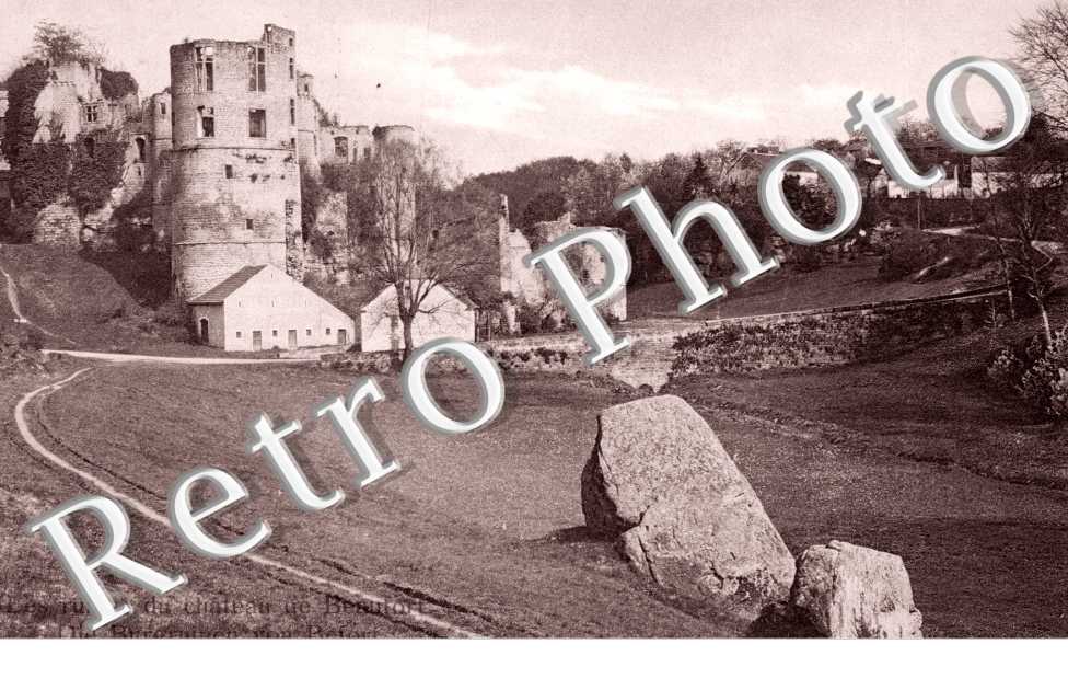 les ruines du  chateau