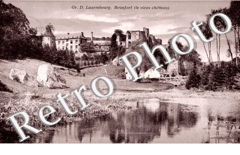 le vieux chateau