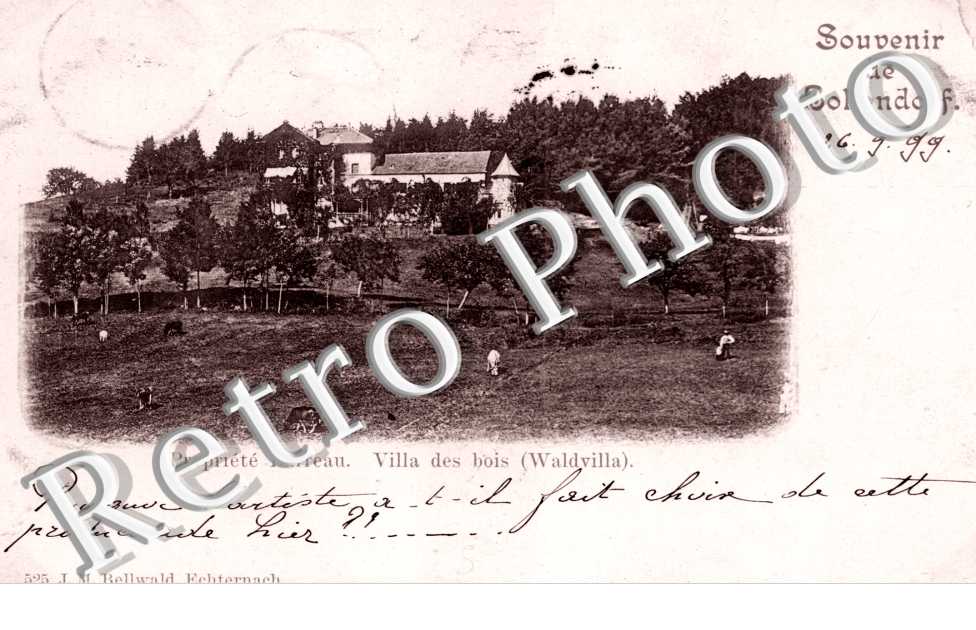 Souvenir de Bollendorf Propriete Barreau Villa des bois