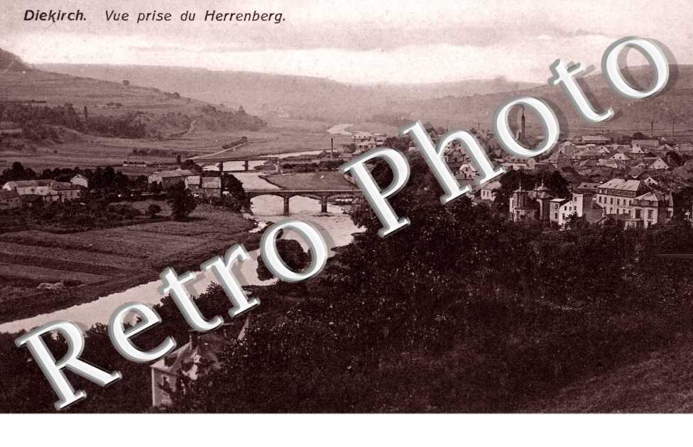 vue prise du Herrenberg