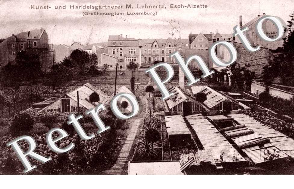 Kunst und Handelsgartnerei M. Lehnertz
