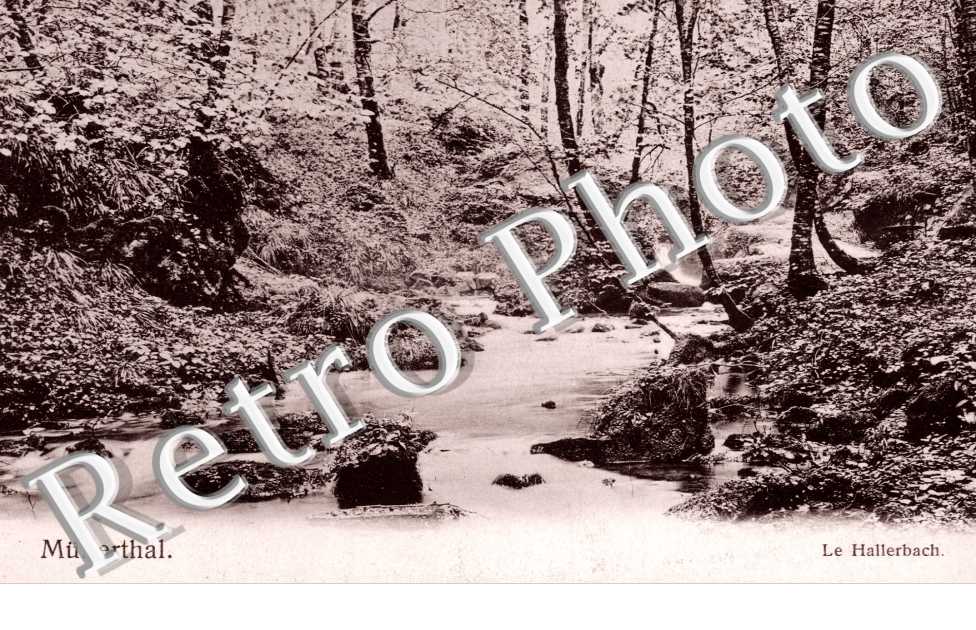 le hallerbach