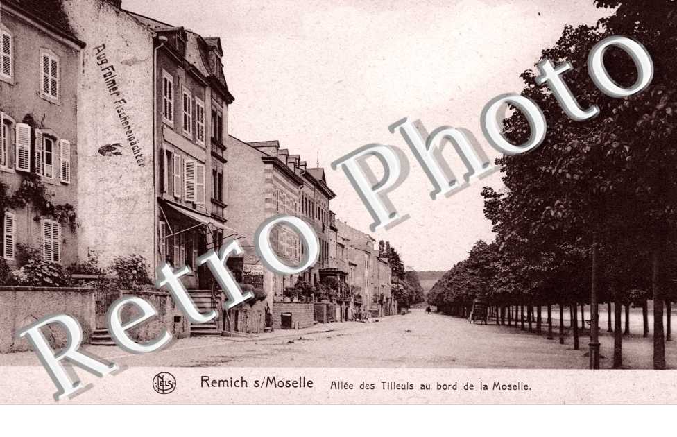 allee des Tilleuls au bord de la Moselle