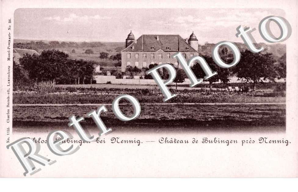 Chateau de Bubingen