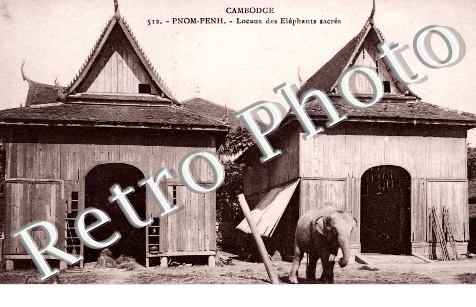 Locaux des elephants sacres