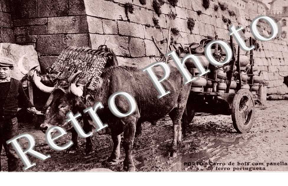 Carro de bois com Panella de ferra portugueza