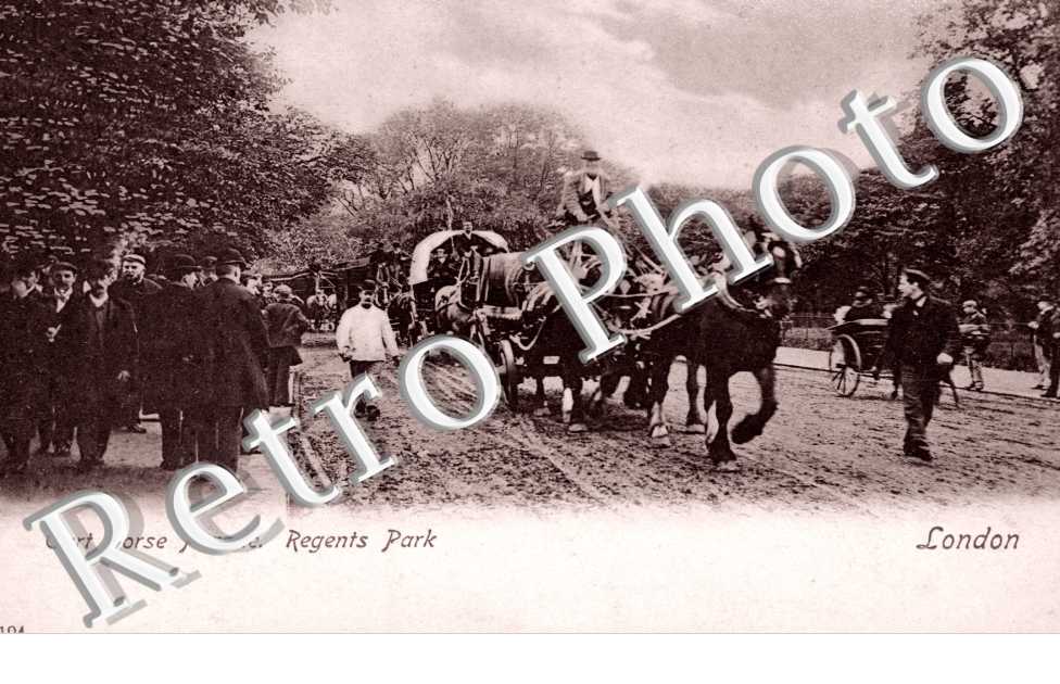 Cart Horse Parade, Regents Park