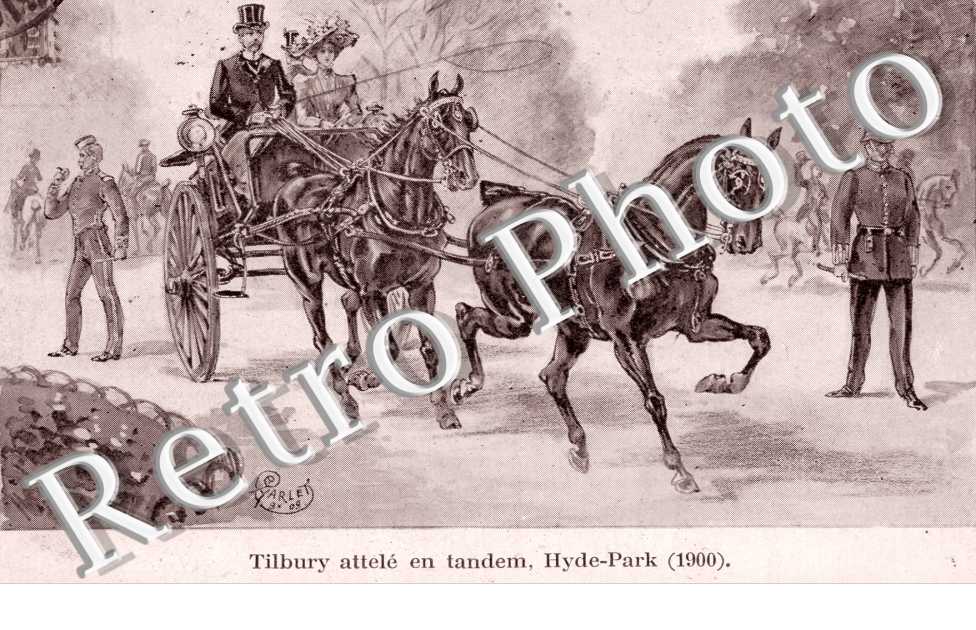 le Cheval attele a travers les ages, Tilbury attele en tandem, Hyde-Park