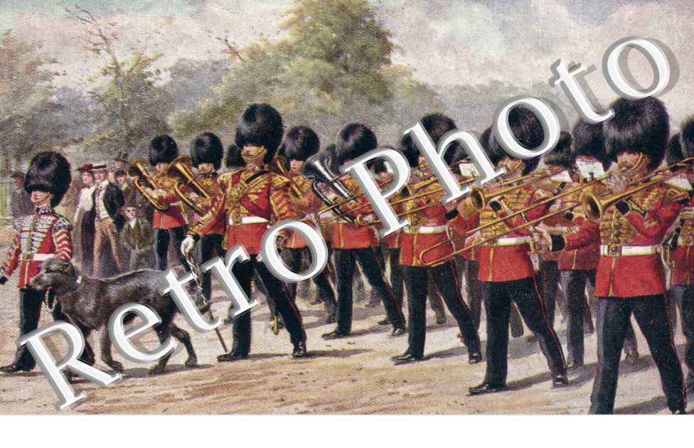 The Irish Guards with their regimental pet