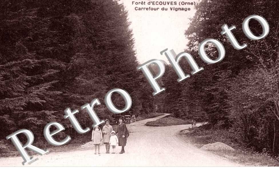 Foret d'Ecouves, Carrefour du Vignage
