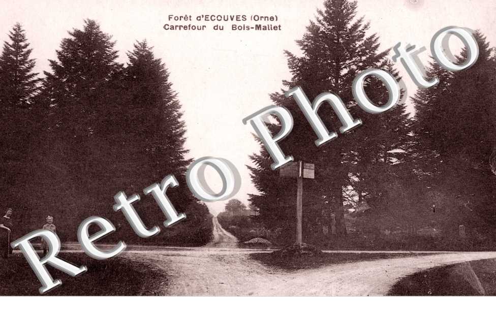 Foret d'Ecouves Carrefour du Bois-Maliet