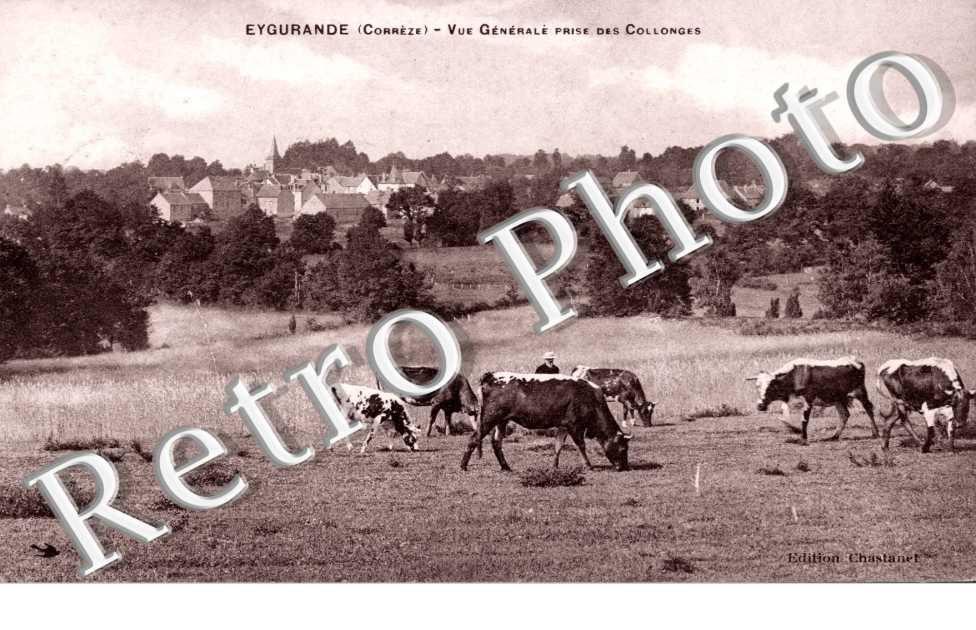 vue generale prise des collonges