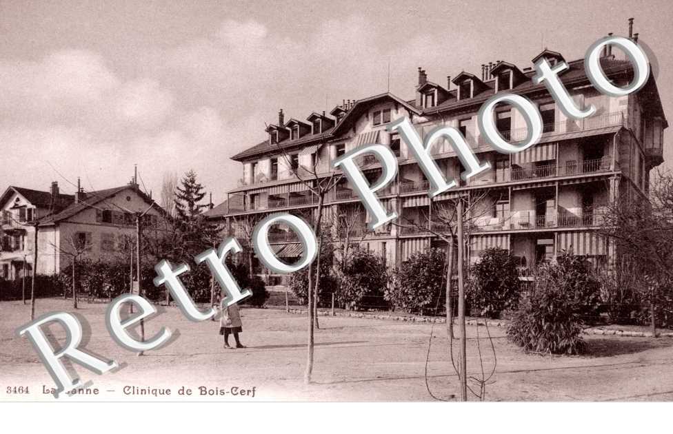 Clinique de bois Cerf