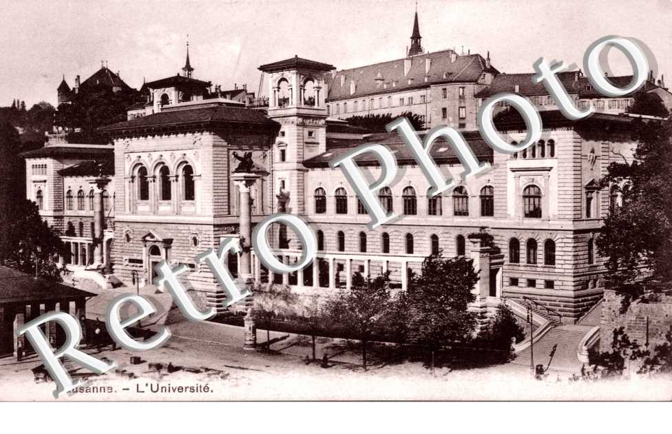 Universite