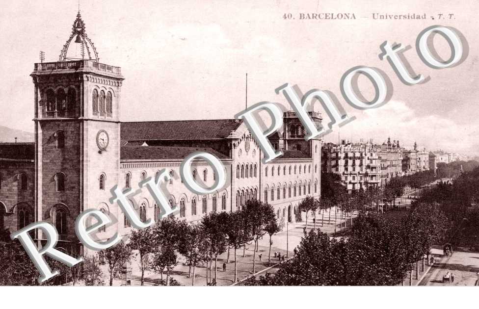 Universidad