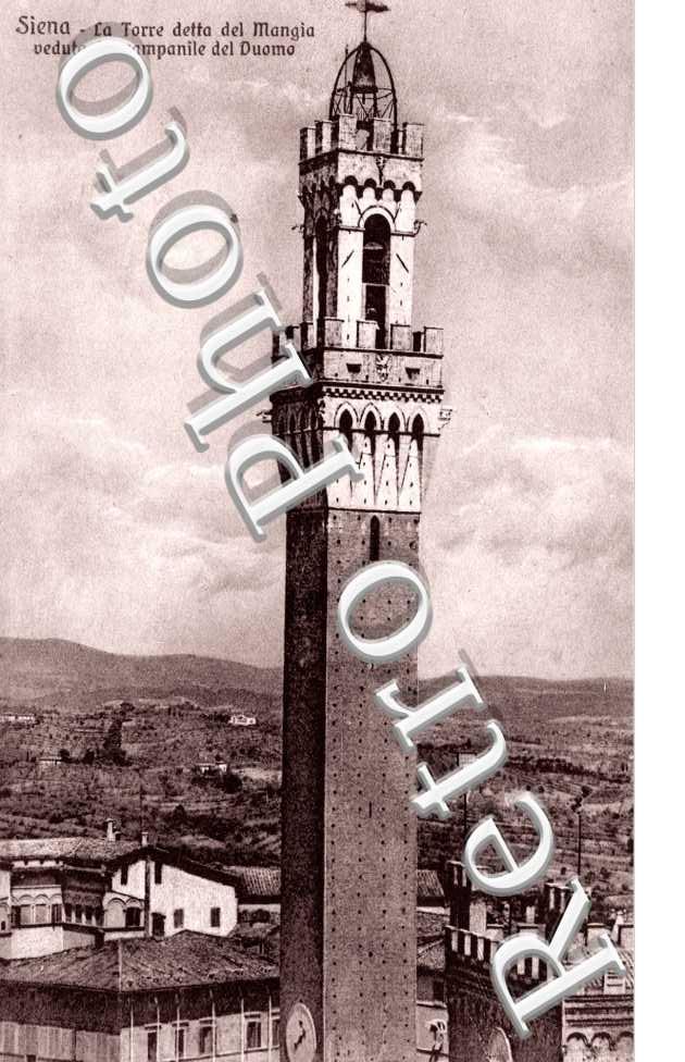 La Torre detta del Mangia veduta dal campanile del Duomo