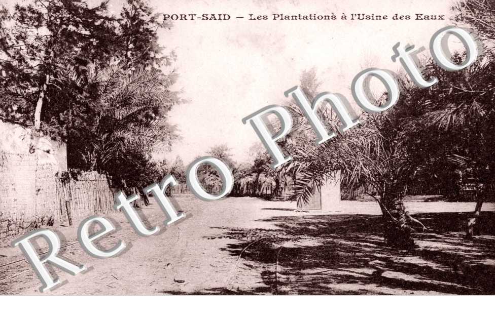 les Plantations a l'Usine des eaux