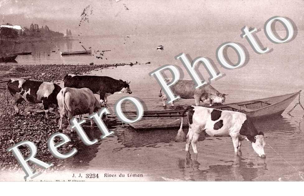 Rives du Leman