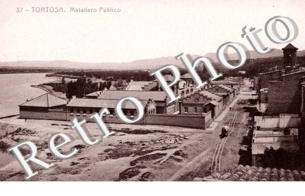 Matadero publico
