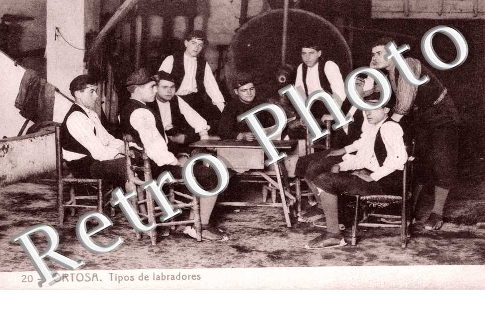 Tipos de Labradores