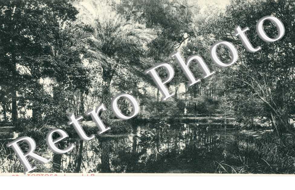 Lago del Parque