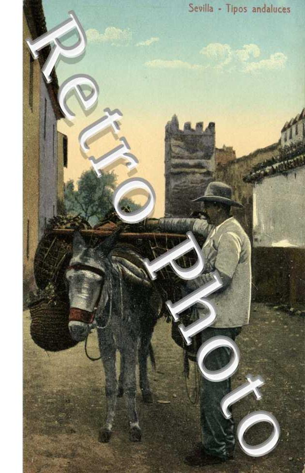 Tipos andaluces