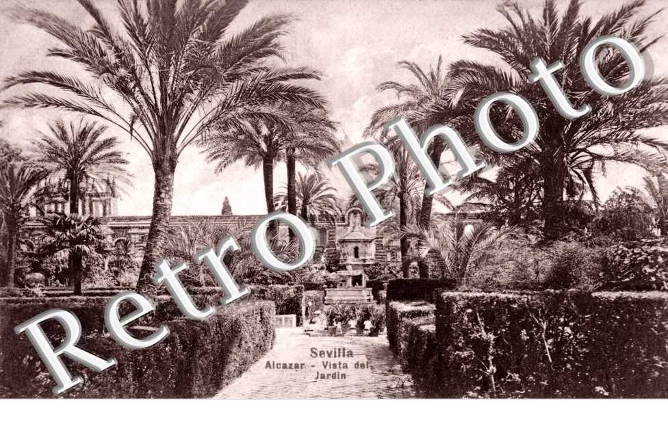 Alcazar  Vista del jardin