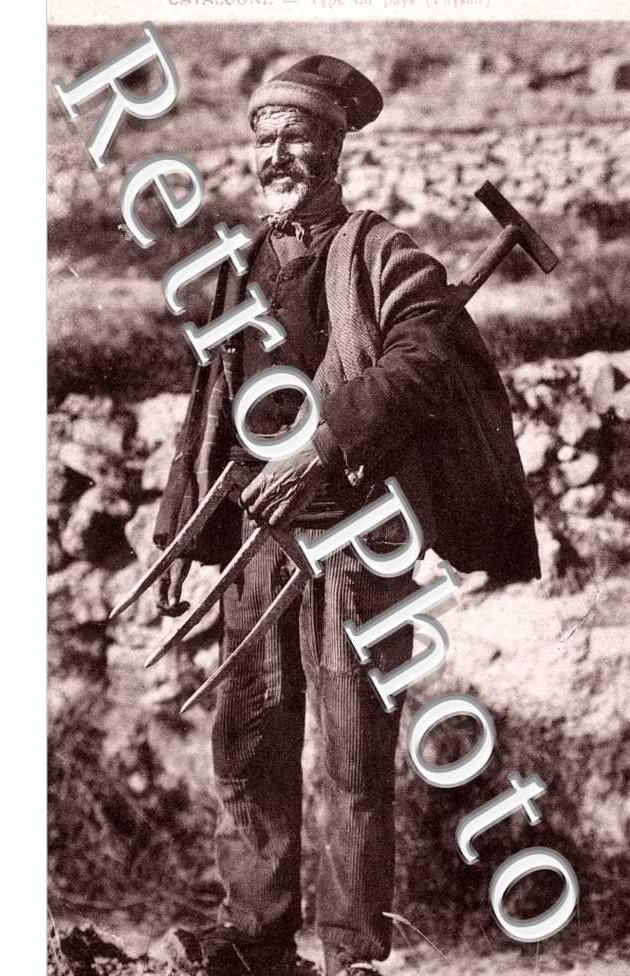 Tipo del pais