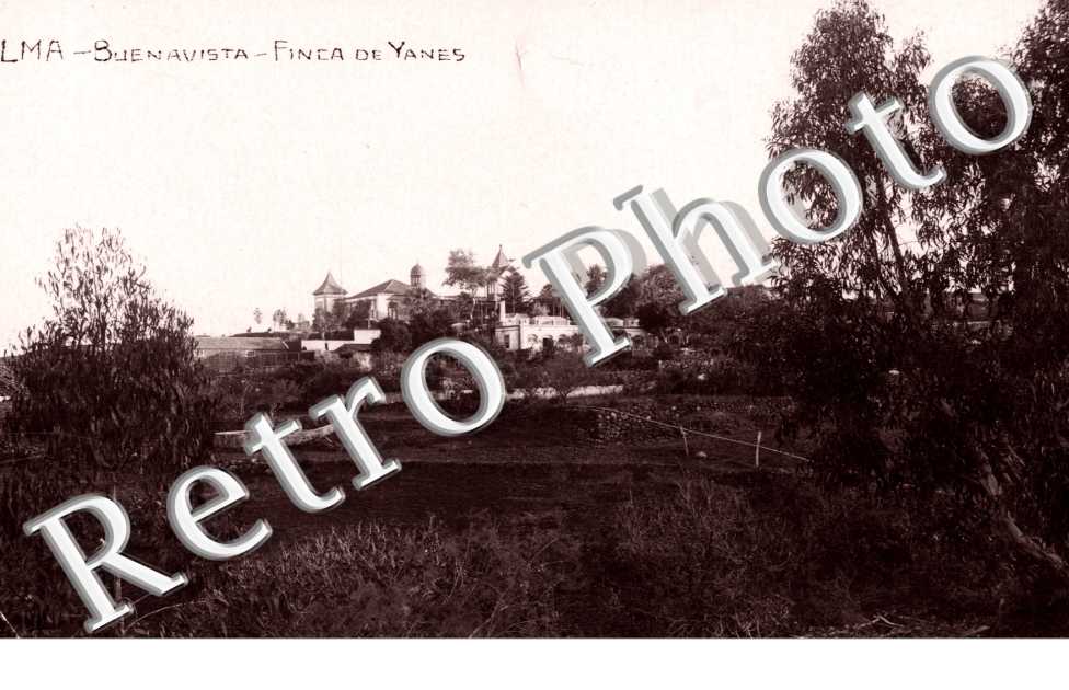 Finea de Yanes