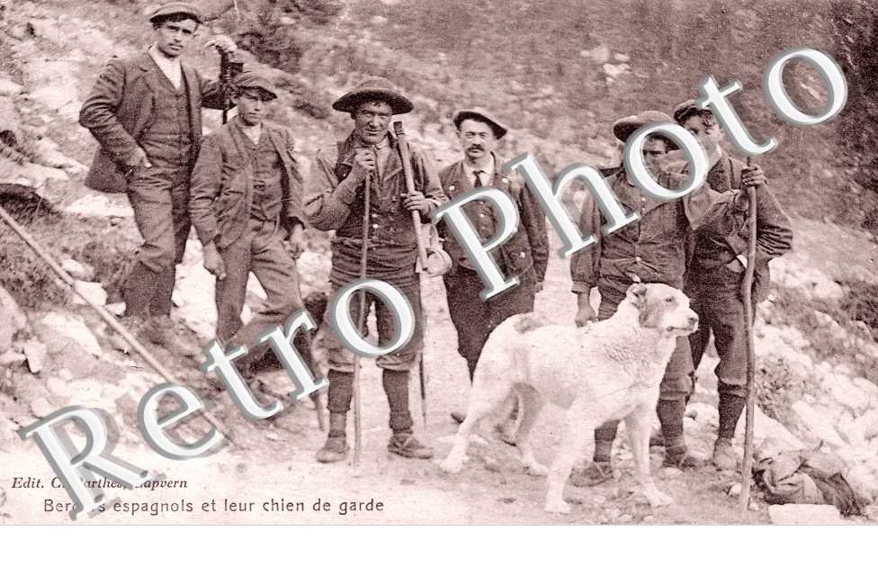 Bergers espagnols et leur chien de garde