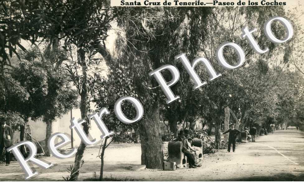 paseo de los coches
