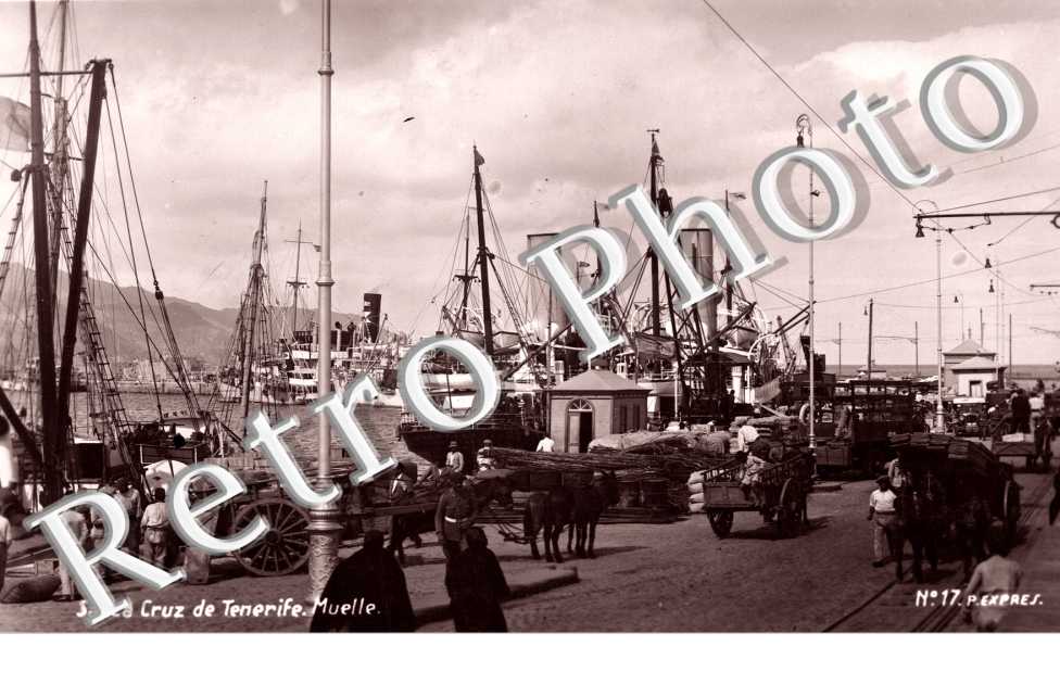 Muelle