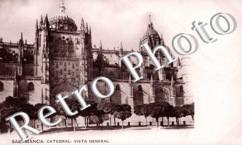 Catedral vista general