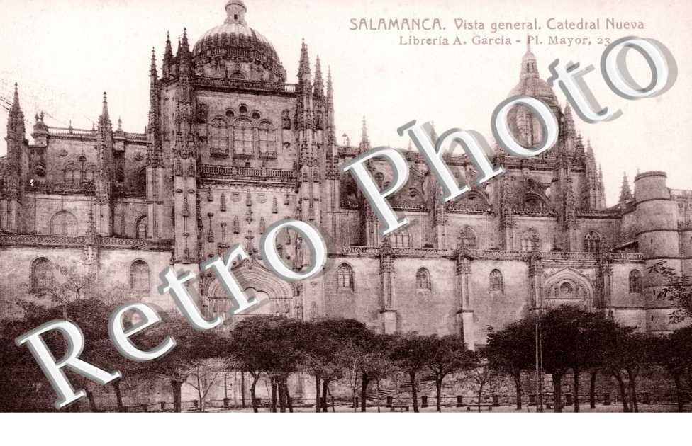 Vista general. Catedral Nueva
