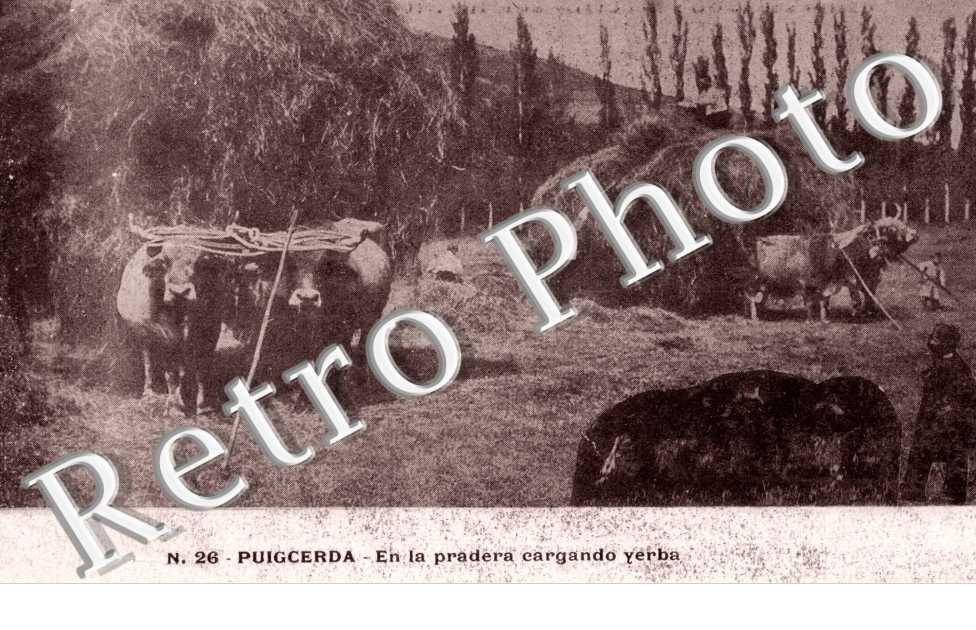 Puigcerda - en la pradera cargando yerba