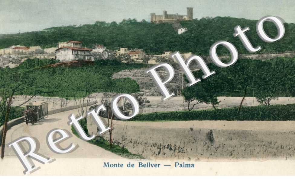 Monte de Bellver
