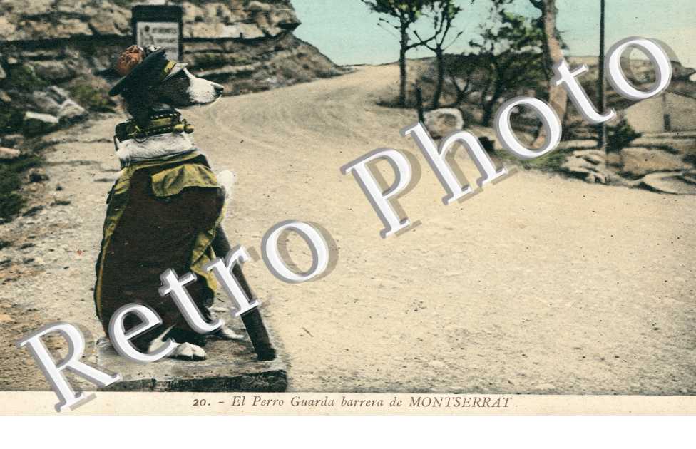 El Perro Guarda barrera