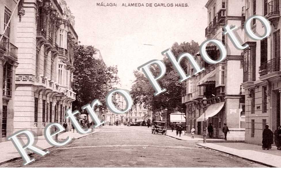 Alameda de Carlos Haes