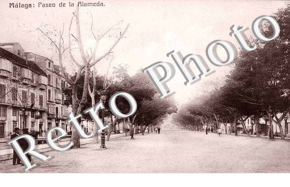 Paseo de la Alameda