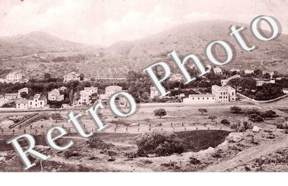 Hoteles del Limonar