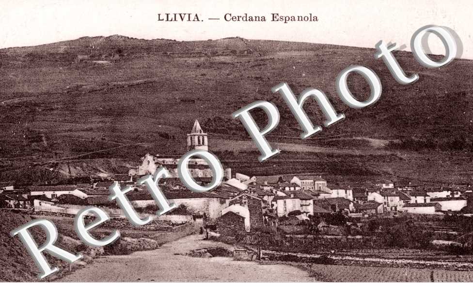 Cerdana Espanola